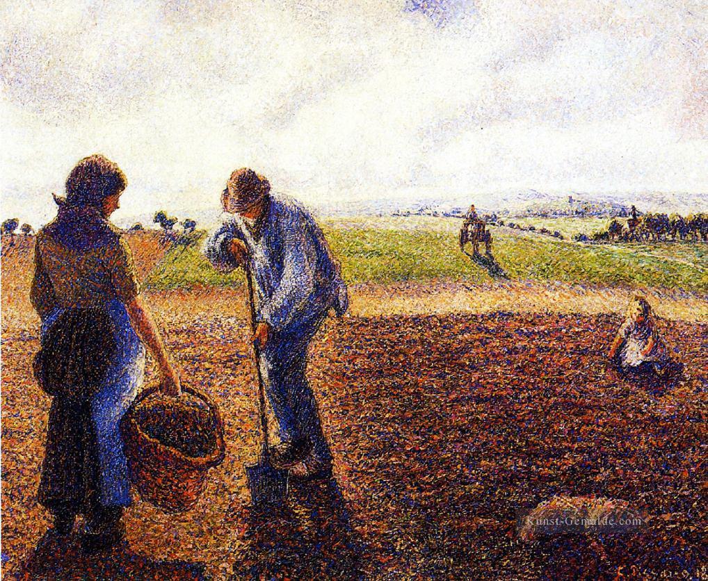 Bauern in dem Feld eragny 1890 Camille Pissarro Ölgemälde